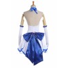 Fate/Zero Fate Stay Night Anime Saber Lily Cosplay Costumes