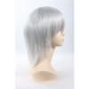 35cm Sliver White Hakuouki Hijikata Toshizo Cosplay Wig