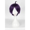 Servamp Misono Alicein Anime Cosplay Wigs Synthetic Purple Wigs