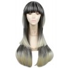 70cm Long Cosplay Wig of Harajuku Mixed Color Straight Hair