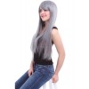 60cm Long Silver Grey Anime Wigs Straight Synthetic Cosplay Party Hair