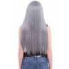 60cm Long Silver Grey Anime Wigs Straight Synthetic Cosplay Party Hair