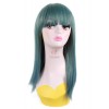 50cm Long Straight Teal green Anime Cosplay Wig