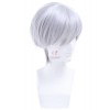 25cm short Silver Grey Evangelion fashion Cosplay hair synthetic wig