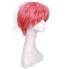 2015 New arrival Anime 25cm Short Cherry red FAIRY TAIL Natsu Dragneel Cosplay Wig