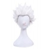 Fate/Stay Night Archer Cosplay Wig Short White Man Hair