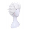 Fate/Stay Night Archer Cosplay Wig Short White Man Hair