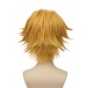 Miraculous Ladybug Chat Noir Short Curly Blonde Synthetic Cosplay Wigs