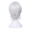 Fate/Apocrypha Assassin of Black Jack the Ripper Silver Cosplay Wigs