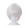 Fate/Apocrypha Assassin of Black Jack the Ripper Silver Cosplay Wigs