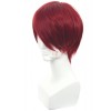 Free!Eternal Summer Rin Matsuoka Claret-red Short Straight Cosplay Wigs