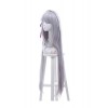 Re:ZERO -Starting Life in Another World Emilia Synthetic Anime Long Grey Cosplay Wigs