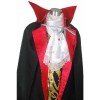 Castlevania Vampire Dracula Cosplay Costume Black And Red Suit