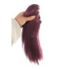LOL KDA Akali Purple Ponytail Long Cosplay Wigs